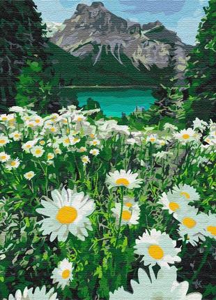 Картина по номерам ромашки у гор bs29451 квіти на картині melmil