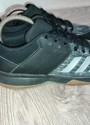 Женская волейбольная обувь adidas ligra 6: cp8906