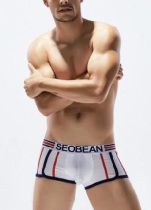 Боксеры белого цвета с цветными полосами seobean