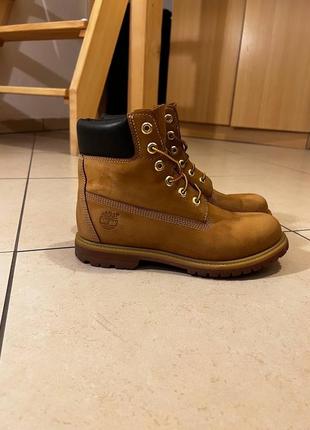 Черевики чоботи timberland