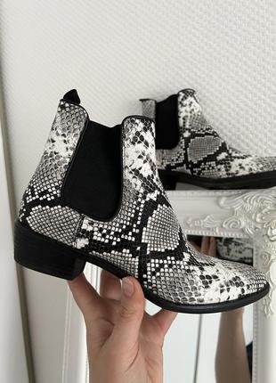 Catwalk черевики  зі зміїним принтом 38р стильні ботельйони з резинкою шкіряні челсі зі змінним принтом чорнобілі 38р2 фото