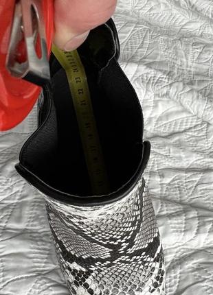 Catwalk черевики  зі зміїним принтом 38р стильні ботельйони з резинкою шкіряні челсі зі змінним принтом чорнобілі 38р7 фото