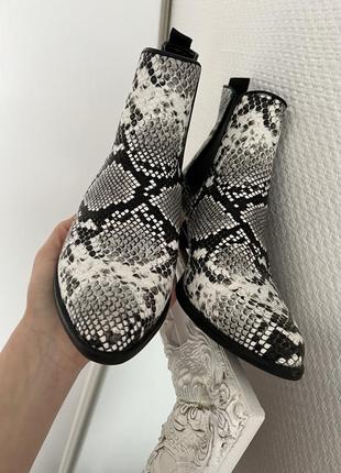 Catwalk черевики  зі зміїним принтом 38р стильні ботельйони з резинкою шкіряні челсі зі змінним принтом чорнобілі 38р4 фото