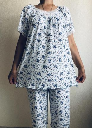 Пижама женская с бриджами хлопок турция  батал  56-60р2 фото