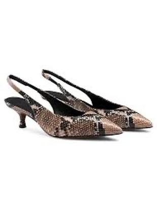 Лодочки мюлі туфлі босоніжки kitten heels zara kacharovska hvoya зміїний принт
