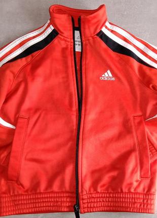 Олімпійка adidas для хлопчика 5-6 p 116 см