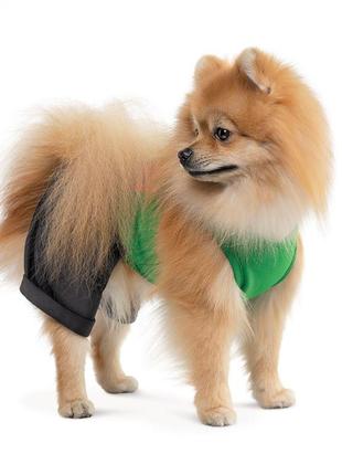 Костюм для собак pet fashion aleks розмір m2 фото