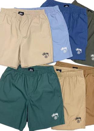 Шорты стухи stussy arcteryx carhartt dickies nike