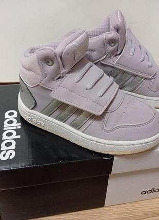 Кросівки хайтопи adidas