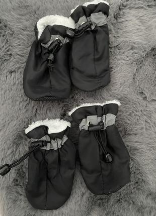 Чобітки для собак