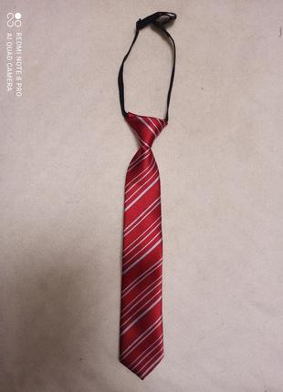 Галстук,  краватка1 фото
