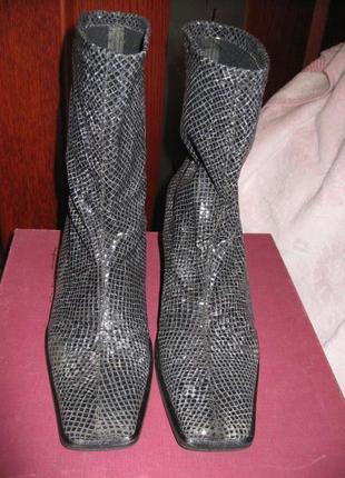 Осінні чобітки під змію