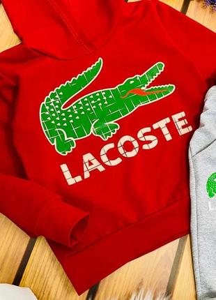 Стильный спортивный костюм lacoste6 фото