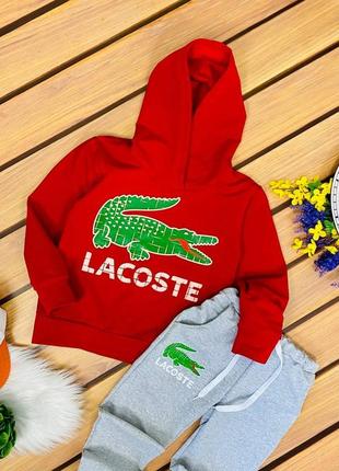 Стильний спортивний костюм lacoste7 фото