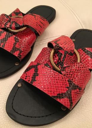 Кожаные красные сандалии со змеиным принтом и кольцом asos,красные шлепки змеиный принт5 фото