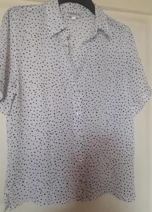 Блузка женская 38