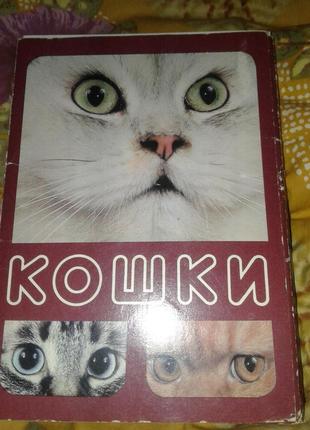 Набор открыток кошки 1988