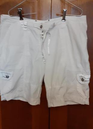 Фирмен.шорты, больш.размера