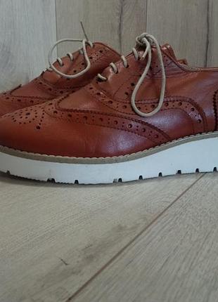 Туфлі ugo turati