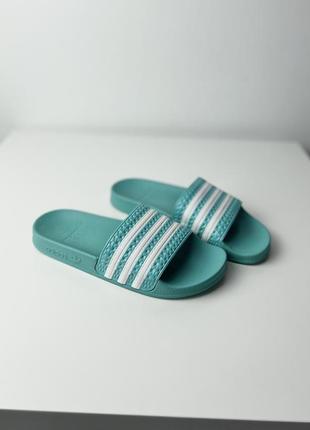Шлепанцы adidas slippers1 фото