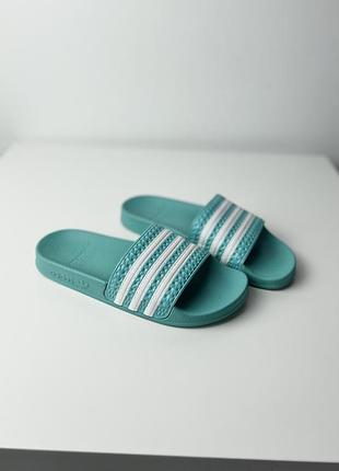 Шлепанцы adidas slippers