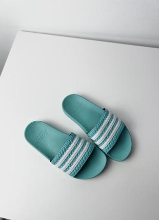 Шлепанцы adidas slippers5 фото