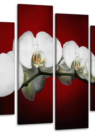 Модульная картина из 4 частей в госиную и спальню орхидея art-93_4 melmil1 фото