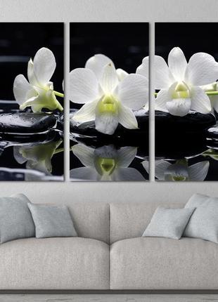 Модульная картина из 3 частей в гостиную спальню цветы орхидеи на камнях art-35_xxl melmil2 фото