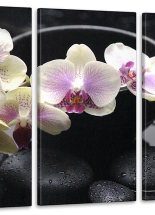 Модульная картина из 3 частей в гостиную спальню цветы орхидея аrt-335_3а melmil