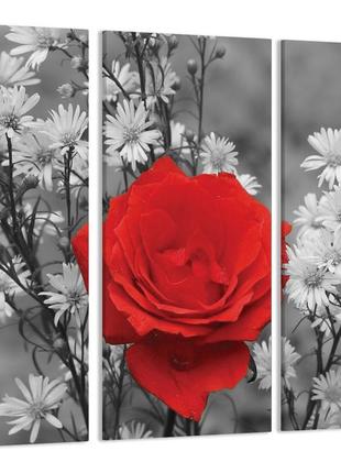 Модульна картина троянда ромашки art-3_xxl