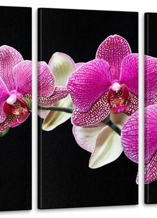 Модульна картина орхідея аrt-133_3а1 фото