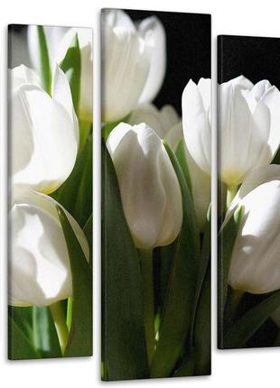 Модульная картина из 5 частей в гостиную спальню цветы тюльпаны art-4_5 melmil