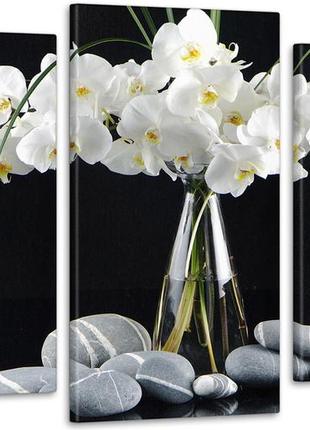 Модульная картина из 3 частей в гостиную спальню орхидея art-43_3 melmil1 фото