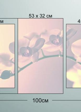 Модульная картина из 3 частей в гостиную спальню орхидея art-1_3 melmil3 фото