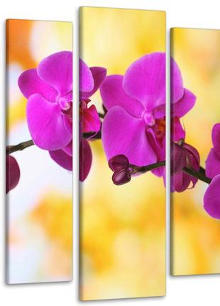 Модульная картина из 5 частей в гостиную спальню орхидея art-128_5 melmil1 фото