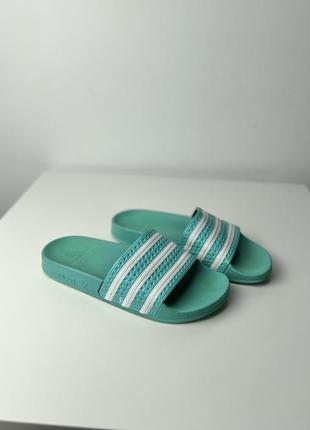 Шлепанцы adidas slippers