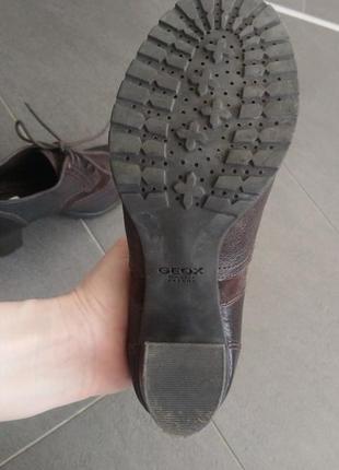 Ботинки ботинки geox respira р.36.55 фото