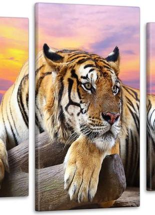 Модульна картина тигр (53х100см) art-209_3
