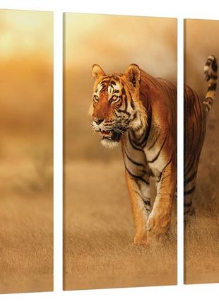 Модульна картина природа тигр art-183_xxl