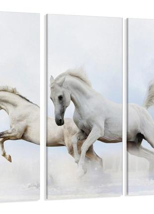 Модульна картина білі коні art-129_xxl