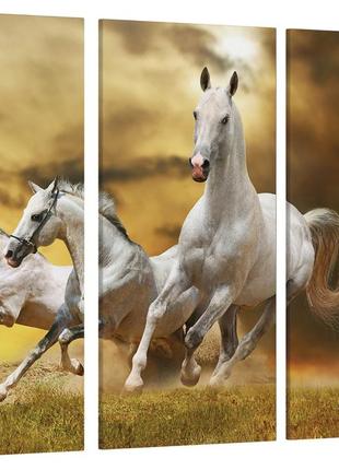 Модульна картина білі коні art-79_xxl