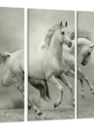 Модульна картина білі коні art-125_xxl