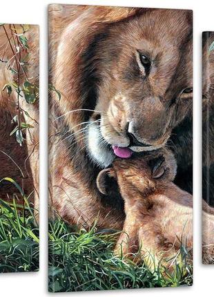 Модульна картина тварини лев art-230_3