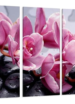 Модульная картина из 3 частей в гостиную спальню цветы орхидеи на камнях art-16_xxl melmil