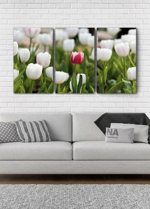 Модульная картина из 3 частей в гостиную спальню цветы тюльпаны аrt-134_3а melmil2 фото