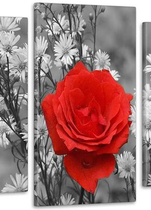 Модульная картина из 3 частей в гостиную спальню цветы красная роза art-150_3 melmil
