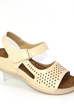 🥰стильні бежеві жіночі босоніжки/сандалі перфорація великих розмірів, застібка липучка,жіноче взуття на літо🤩