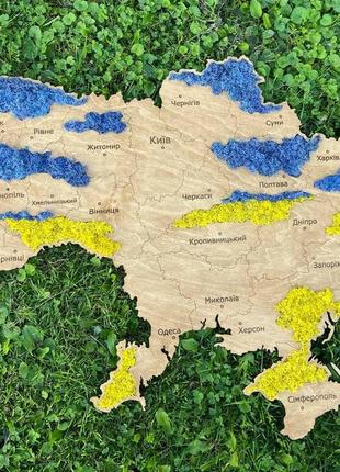 Деревянная карта карта україни 1.5*1 м со стабилизированным мхом