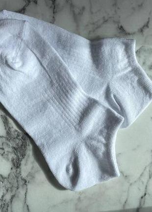 Носки базовые