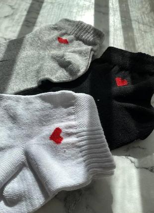 Носки базовые